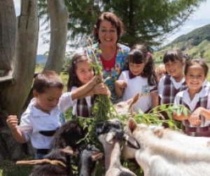 ¡Aviso importante! Pago de prima a personal administrativo de establecimientos educativos oficiales