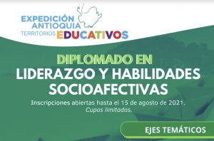 Diplomado en liderazgo y habilidades socioafectivas