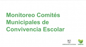 Comité Departamental de Convivencia Escolar