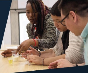 Talleres STEM con la Universidad Tecnológica de Múnich y la Universidad de Antioquia